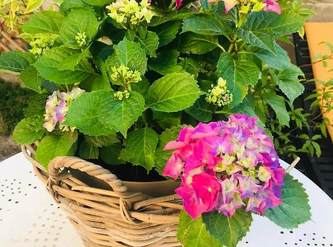 Le Jabloire Florent-en-Argonne